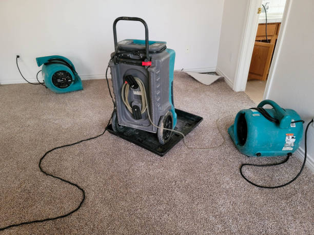 Best Water damage restoration near me  in Aspermont, TX