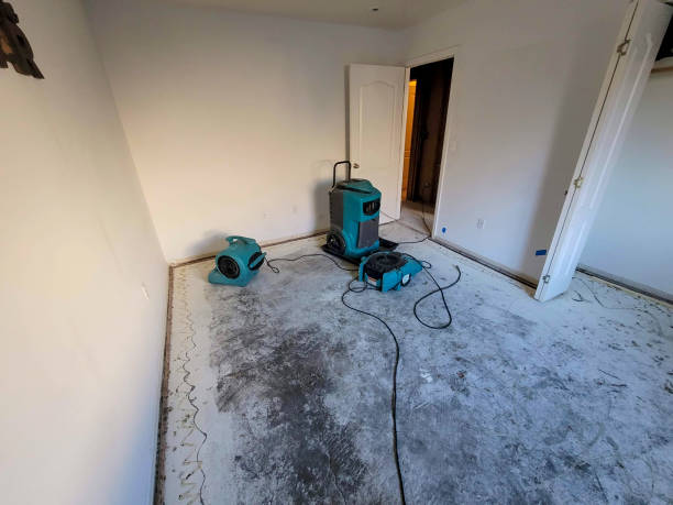 Best Local water damage restoration  in Aspermont, TX
