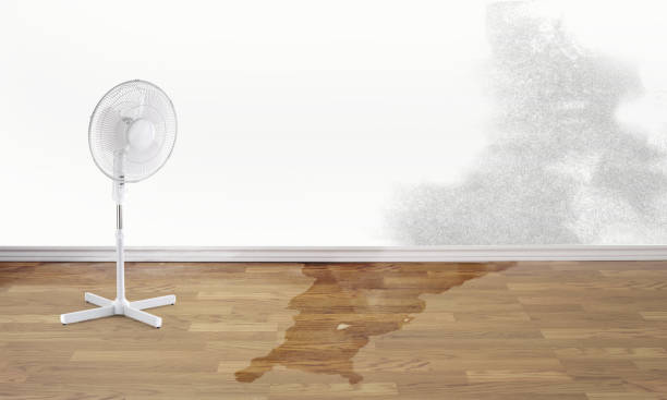 Best Emergency water damage restoration  in Aspermont, TX