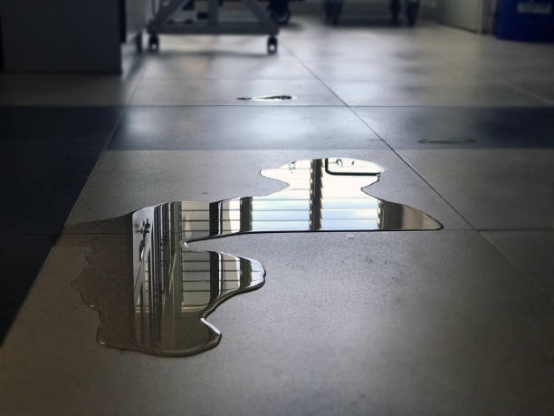 Best Water damage restoration near me  in Aspermont, TX