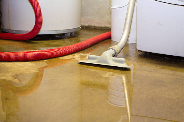 Best Sewage cleanup and water damage restoration  in Aspermont, TX