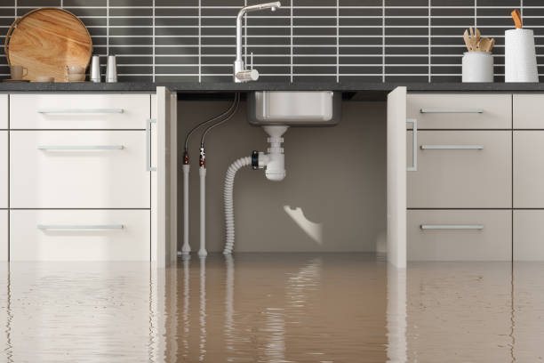 Best Water damage restoration company  in Aspermont, TX