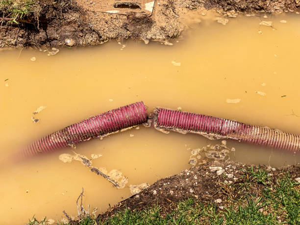  Aspermont, TX Water damage restoration Pros